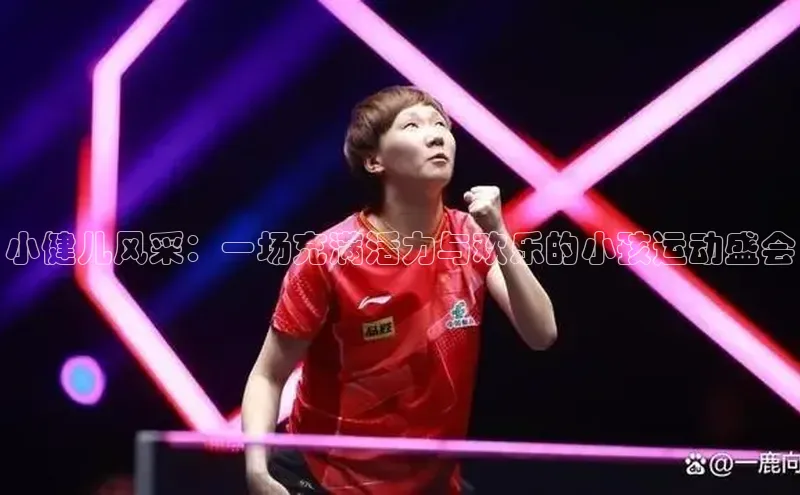 小健儿风采：一场充满活力与欢乐的小孩运动盛会