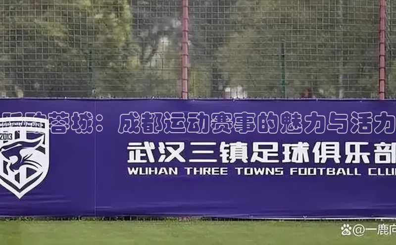 跃动蓉城：成都运动赛事的魅力与活力