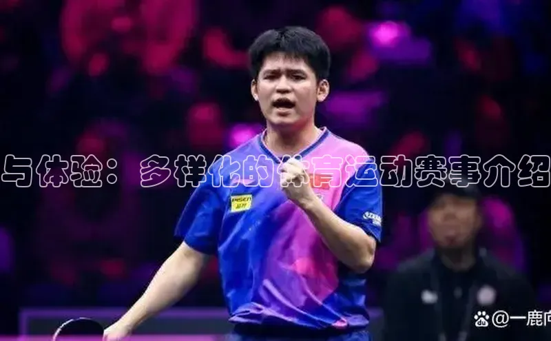 与体验：多样化的体育运动赛事介绍