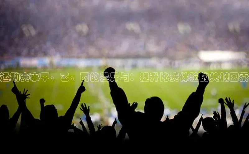 运动赛事甲、乙、丙的差异与：提升比赛体验的关键因素