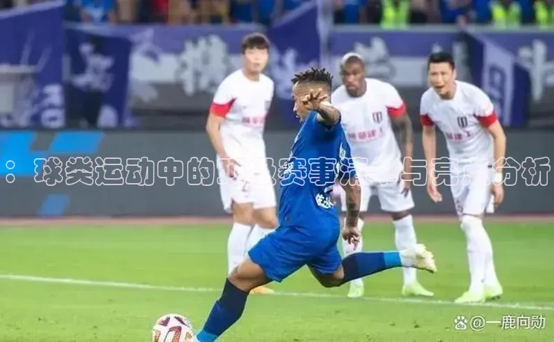 ：球类运动中的顶级赛事清单与亮点分析