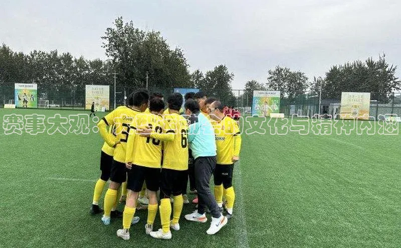 赛事大观：大型运动会的文化与精神内涵